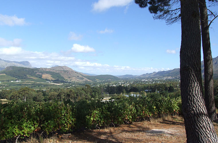 capetown_016